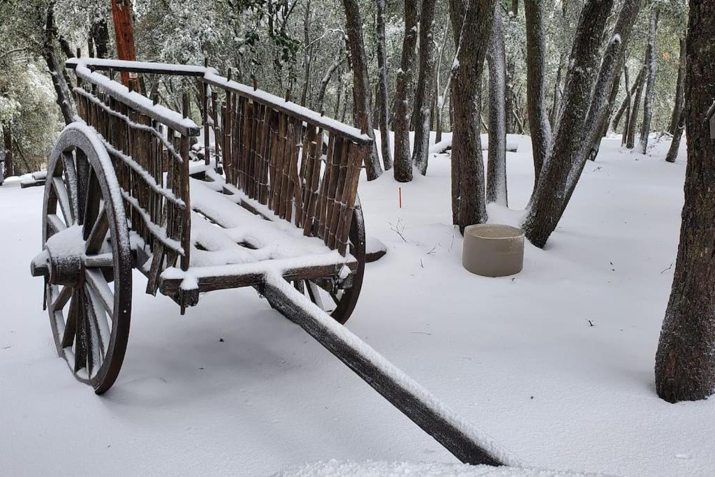 Pine Hills Cabin In 朱利安 外观 照片