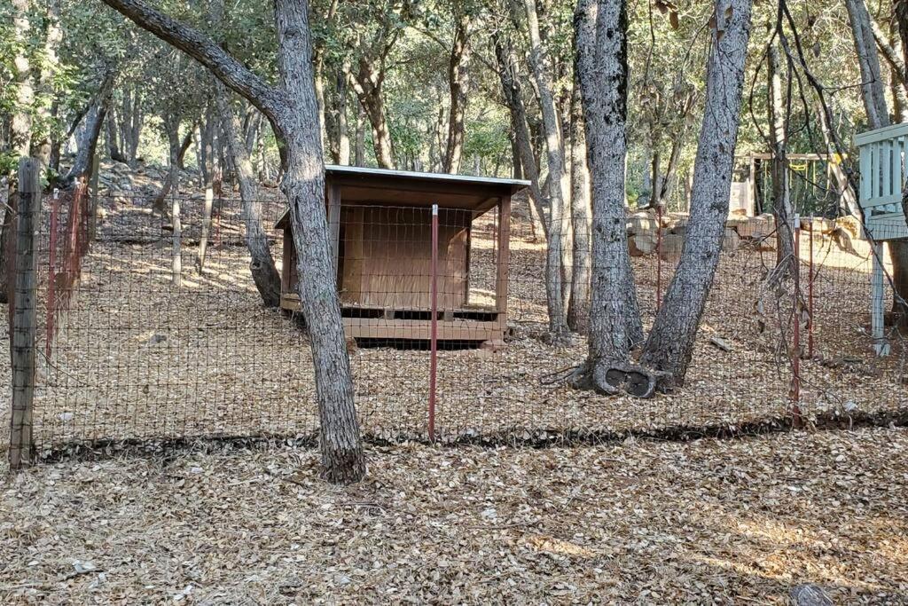 Pine Hills Cabin In 朱利安 外观 照片